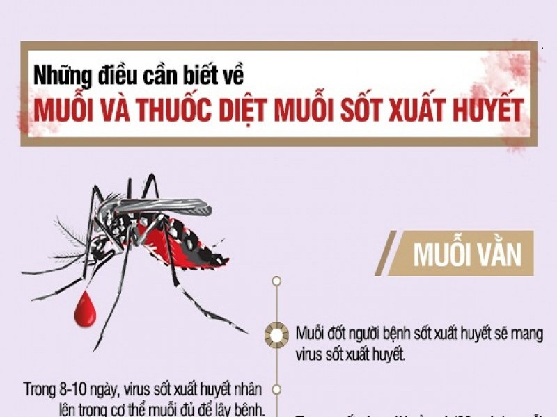 TUYÊN TRUYỀN PHÒNG BỆNH SỐT XUẤT HUYẾT CHO TRẺ EM