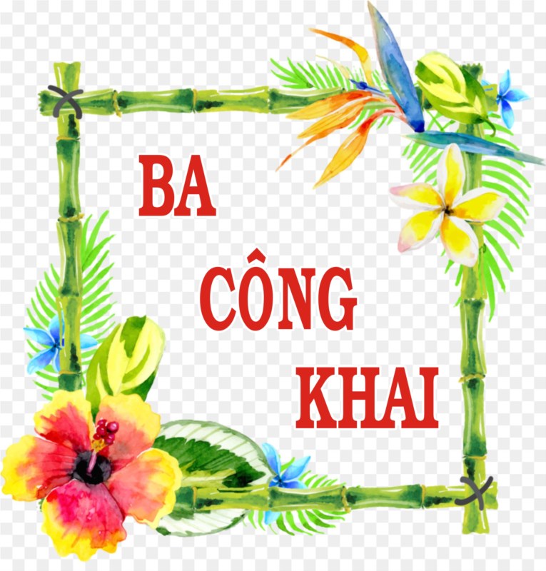 Ba cong khai b003e